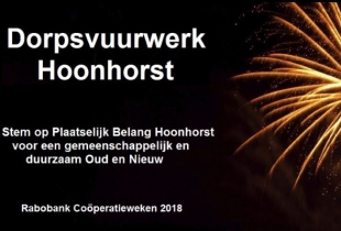 Stem voor het Dorpsvuurwerk Hoonhorst