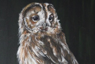 Expositie Cindy Pot in het Anjerpunt