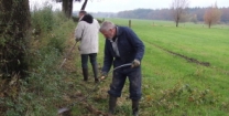 De meidoornhaag staat er weer netjes bij