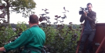 Hoonhorst 9 november op TV