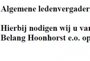 13 mei Algemene ledenvergadering Plaatselijk Belang Hoonhorst 