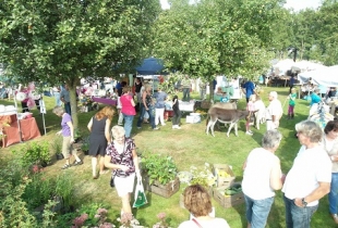 Nazomerse snuffelmarkt op het boerenerf