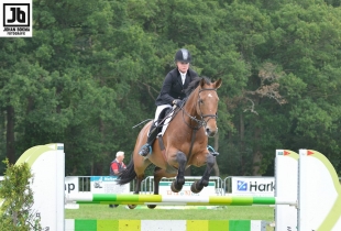 van DalfsenNet: Fantastische paardensport in Hoonhorst tijdens stormachtig weekend