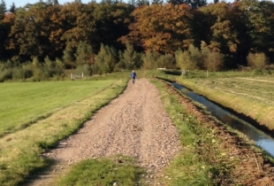 Snelle actie Landschap Overijssel