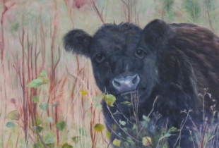 Expositie van José van der Sluis-Damman in molenschuur Fakkert
