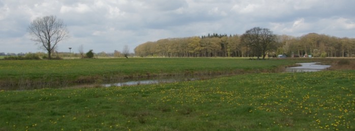 Hoonhorst